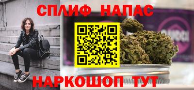 крисы Славгород