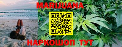 крисы Славгород