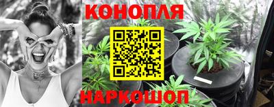 крисы Славгород