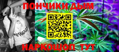крисы Славгород
