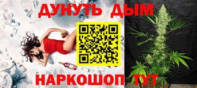 крисы Славгород