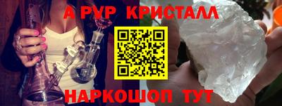 крисы Славгород